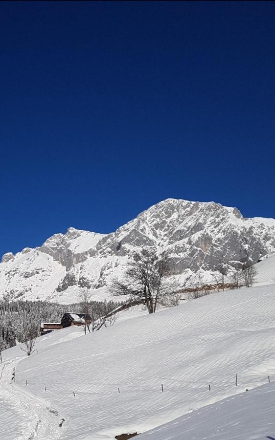 Haus Meikl Mühlbach am Hochkönig المظهر الخارجي الصورة