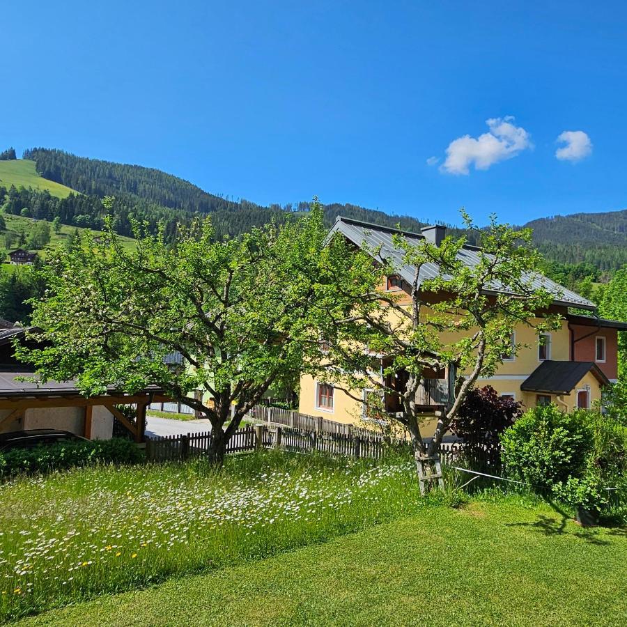 Haus Meikl Mühlbach am Hochkönig المظهر الخارجي الصورة