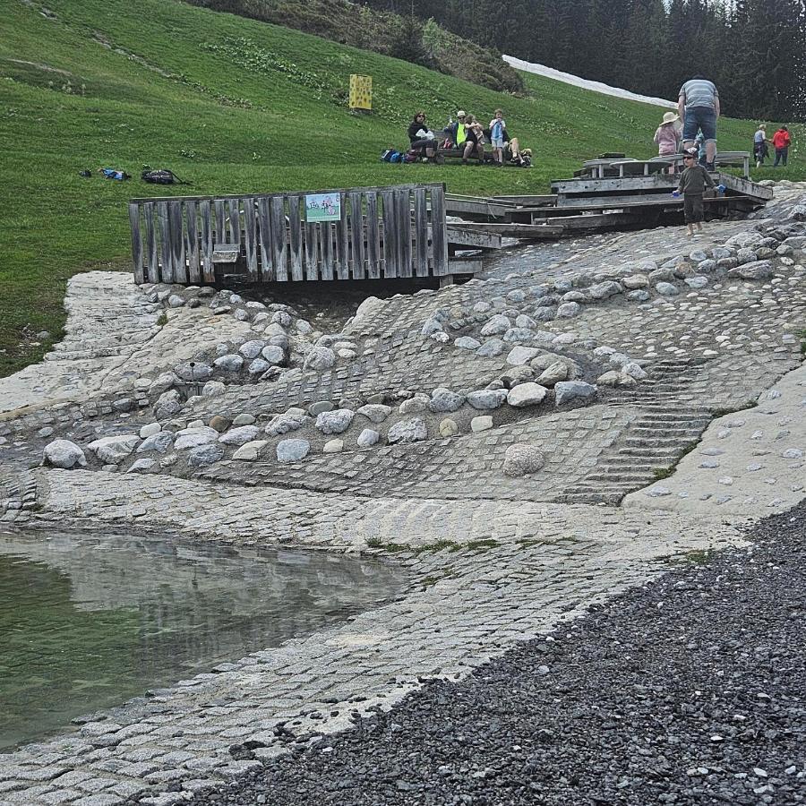 Haus Meikl Mühlbach am Hochkönig المظهر الخارجي الصورة